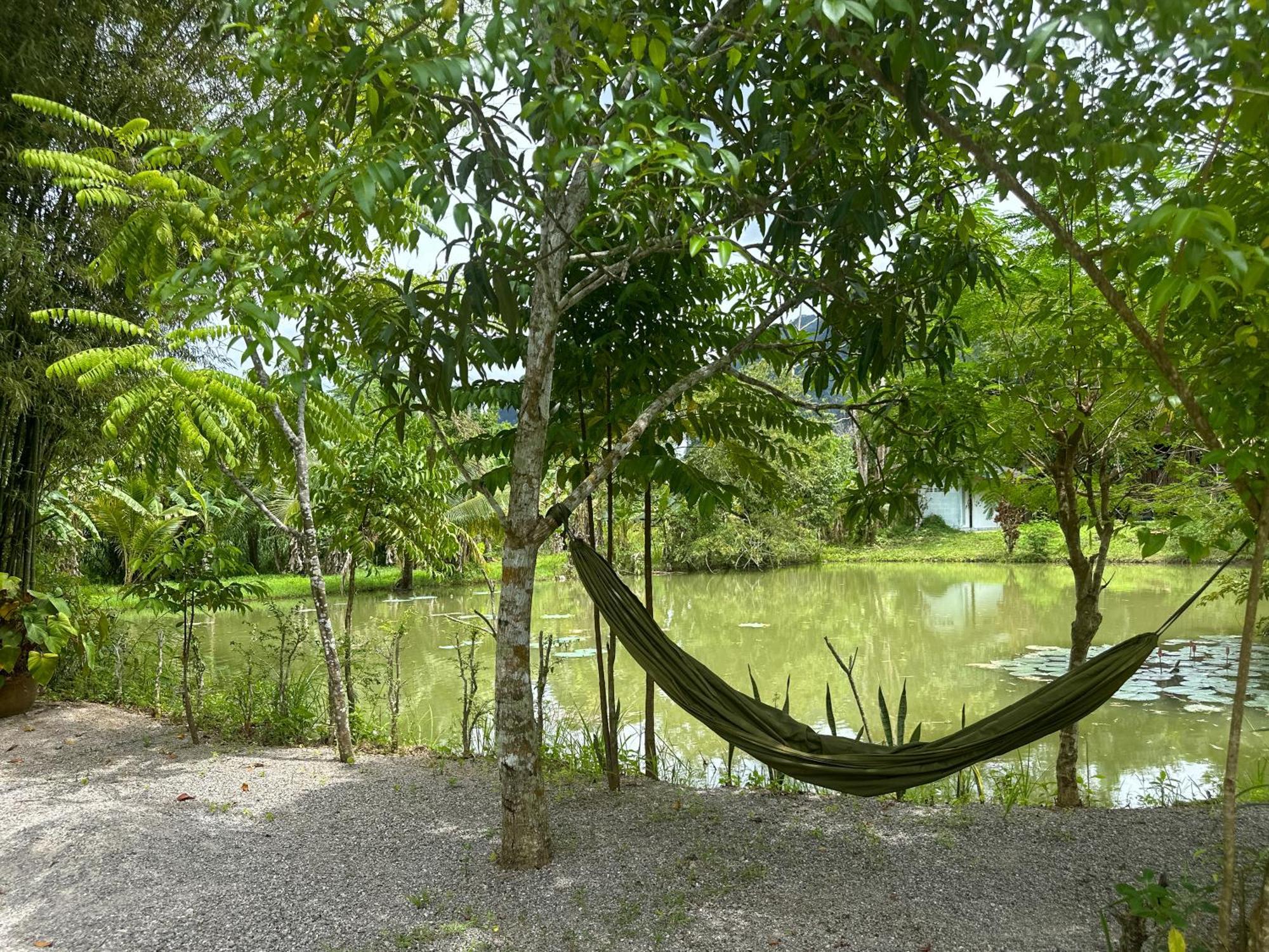 Baan Panmala Guesthouse - Ao Luek, Krabi town Kültér fotó