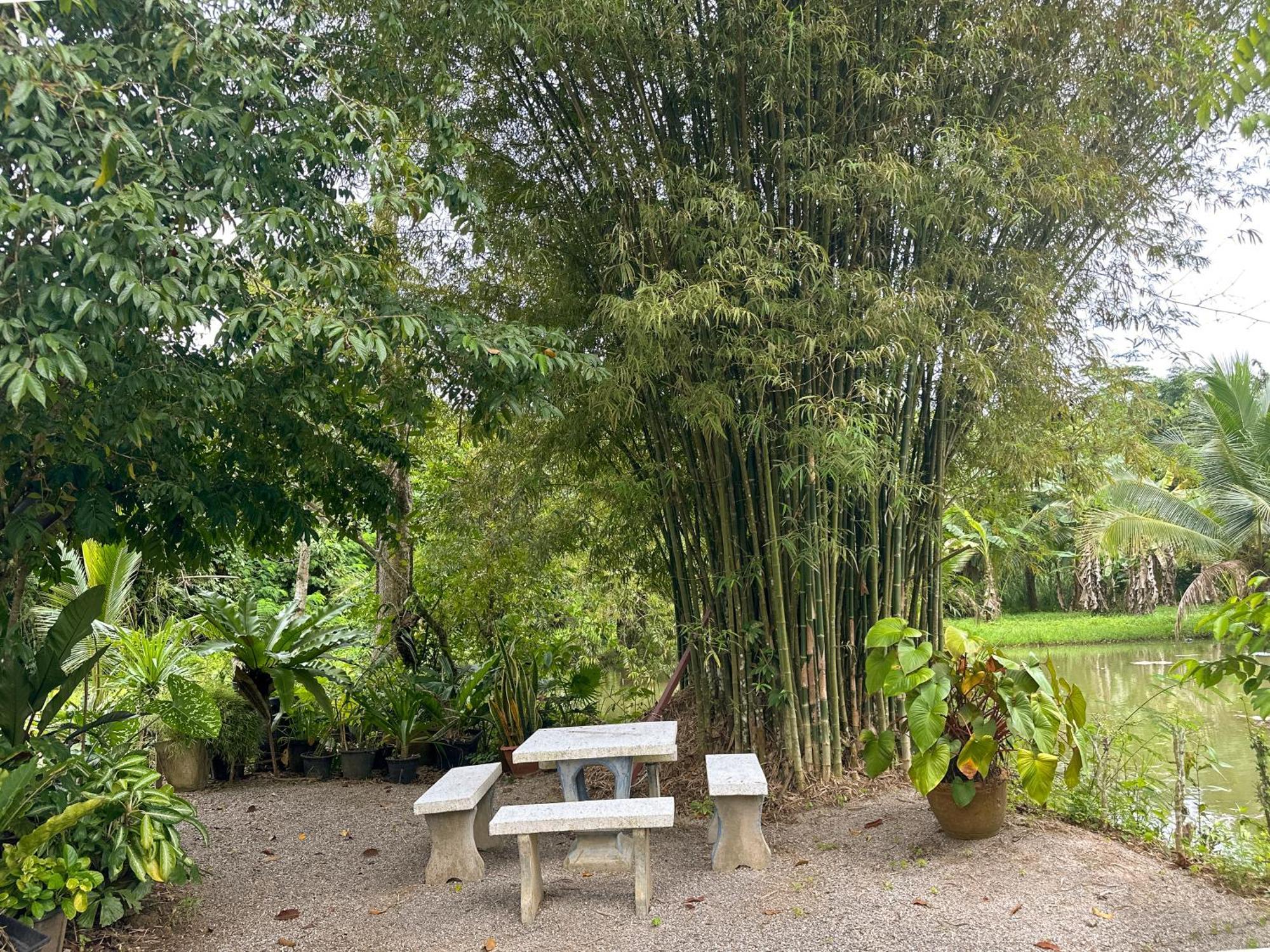 Baan Panmala Guesthouse - Ao Luek, Krabi town Kültér fotó