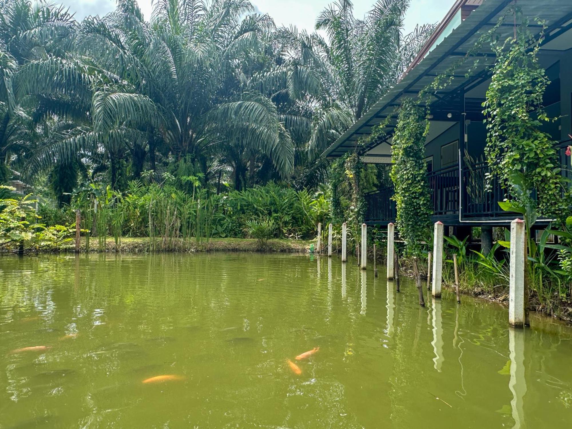Baan Panmala Guesthouse - Ao Luek, Krabi town Kültér fotó